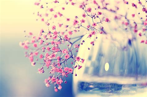 Sweet Wallpapers Group 86