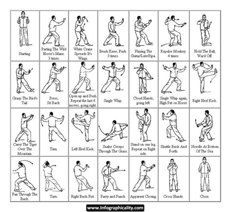 Tai Chi Infographic Tai Chi Chuan Tai Chi Exercise Tai Chi Moves