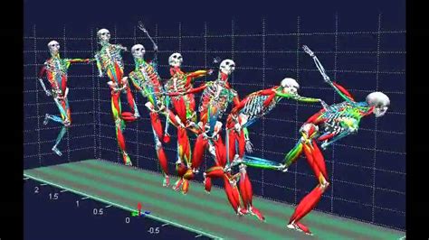 Biomechanical Analysis Youtube