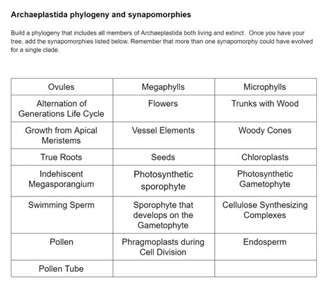 Solved Archaeplastida Phylogeny And Synapomorphies Build A Phylogeny