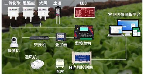 智慧大棚集创云物联