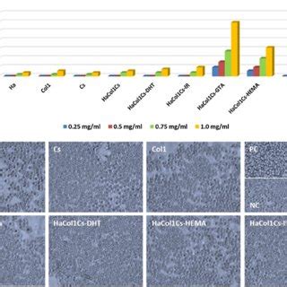 In Vitro Cytotoxicity And Human Blood Biocompatibility Of Hacol Cs