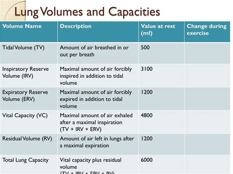 Ppt Lung Function Powerpoint Presentation Free Download Id2459873