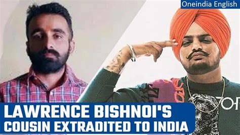 Sidhu Moosewala Murder Case Mastermind Sachin Bishnoi Extradited To India From Azerbaijan S