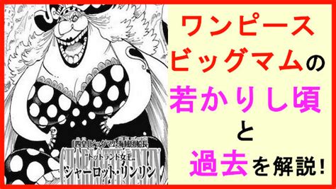 √ 99 Ou Plus ワンピース マム 過去 163533 ワンピース マム 過去 ドラゴンボールz アニメ画像