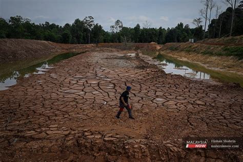 Perlombongan Dan Pembalakan Ancam Ekosistem Tasik Chini Malaysianow