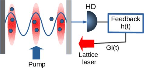 Figure 1 From Tuning The Universality Class Of Phase Transitions By