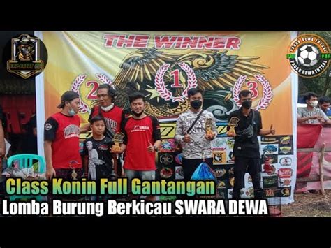 Class Konin Full Gantangan Lomba Burung Berkicau Swara Dewa Youtube