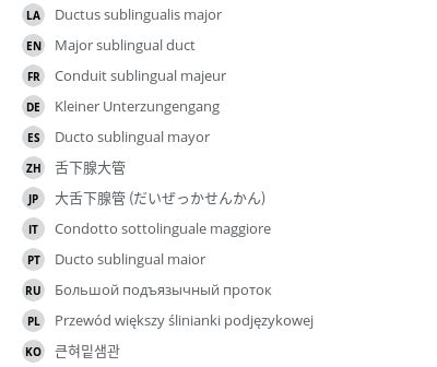 Major sublingual duct - e-Anatomy - IMAIOS