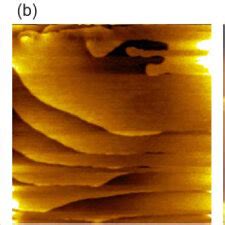 In Situ Stm Images Of The Herringbone Structures Of The Au Surface