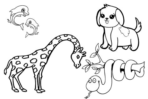 gambar mewarnai tema binatang  siswa paud ruangatascom