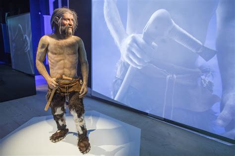 Mumie vom Similaun Ötzi sah ganz anders aus als gedacht Studie