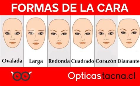 Tipos De Caras Para Gafas Shop Prginc Net