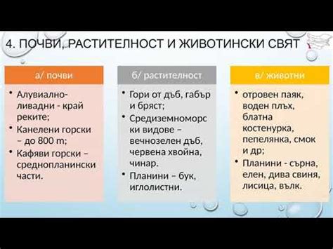 312 Рило Родопска област I - YouTube