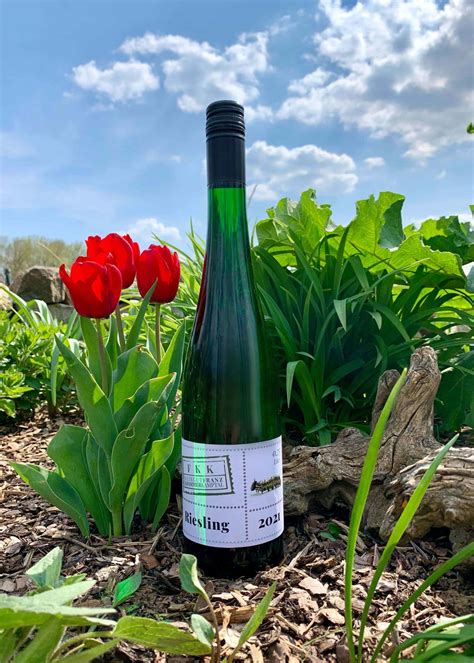 Riesling Kamptal Dac Weingut Fkk Franz Krammer Kamptal