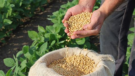 The Absolute Best Way To Store Fresh Grains