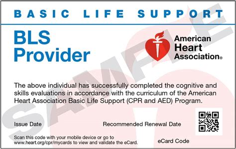 Wsu American Heart Association Training Center Cards