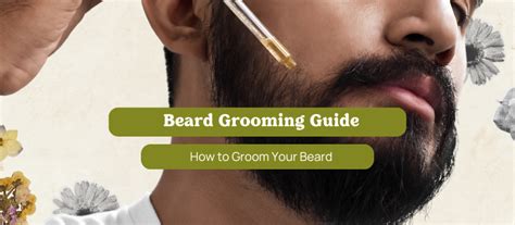 Beard Grooming Guide How To Groom Your Beard