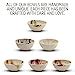 Bascuda Small Ceramic Bowls Set Of 6 Small Snack Bowls For Tapas