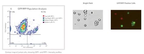 Cellometer Spectrum细胞计数仪报价价格性能参数图 美国nexcelom Bioscience生物器材网