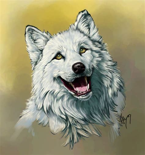 Birthday Woof By Novawuff On Deviantart Wolf Art Canine Art Wolf