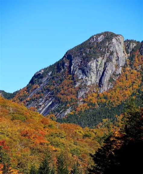 Free Photo Vertical Shot Of Rocky Mountain Surrounded With Trees