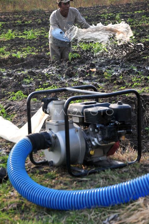 biaya pengairan sawah antara foto
