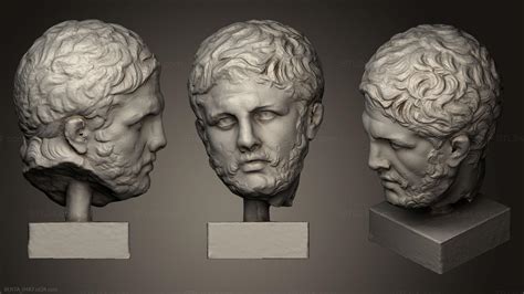 Busts And Heads Antique And Historical Reconstructive Sculpture