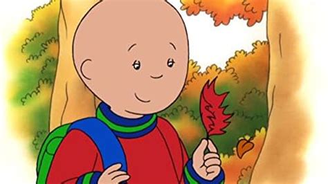 Caillou Tv Series 19972018 Episode List Imdb