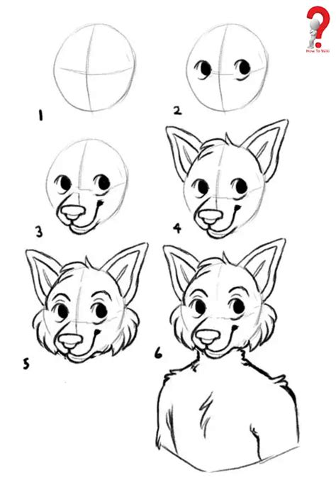 How To Draw Furries Step By Step Guide Howtowiki