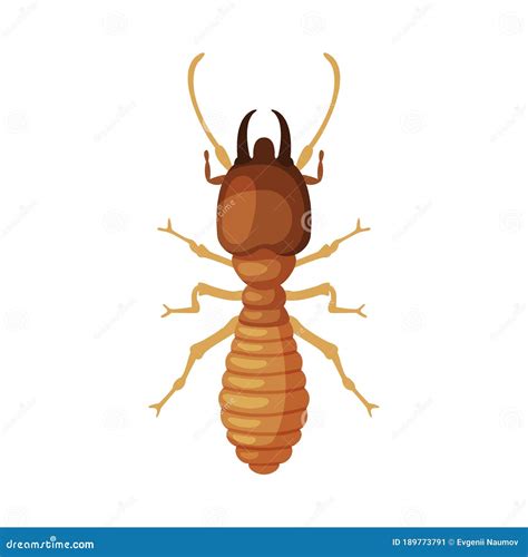 Termite Harmful Insect Pest Control And Extermination Concept Vector