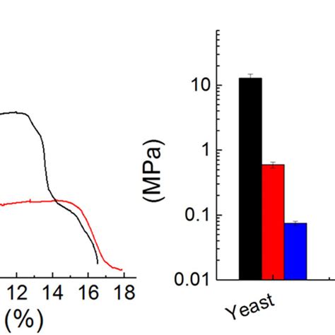 A Stress Strain Curves From Testing Of Yeast Rs And Rs Yeast