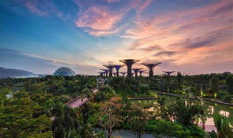 Parks In Singapore Head Outdoors To The Citys Islands Reservoirs