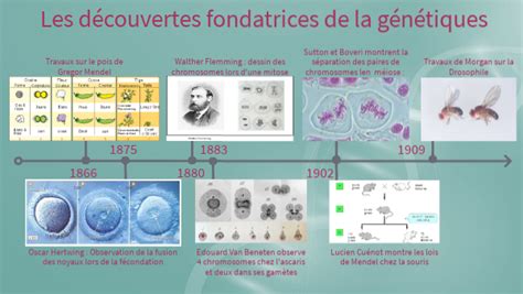 Histoire Des Sciences G N Tique