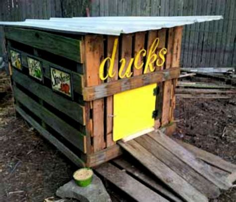 22 Free DIY Duck House Plans With Detailed Instructions