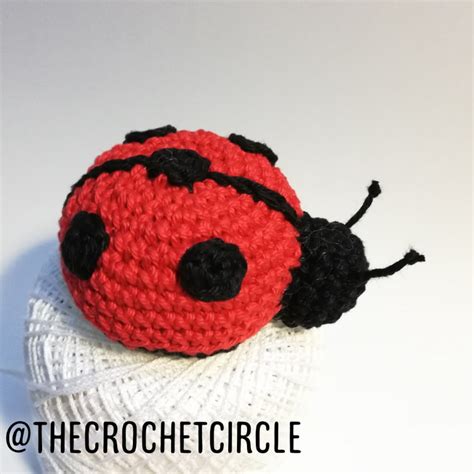 Crochet Ladybug Amigurumi Thecrochetcircle