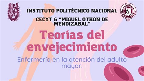 Teorías Del Envejecimiento Rivera Tavera Andrea Udocz