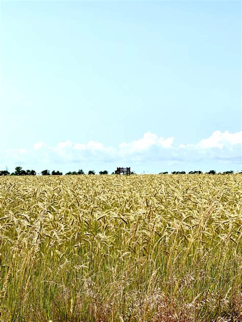 Midlum Mein Föhr Urlaub