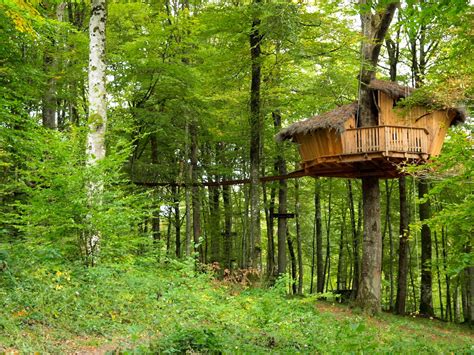 El Sueno Cabane Dans Les Arbres Champagne Ardenne Grand Est