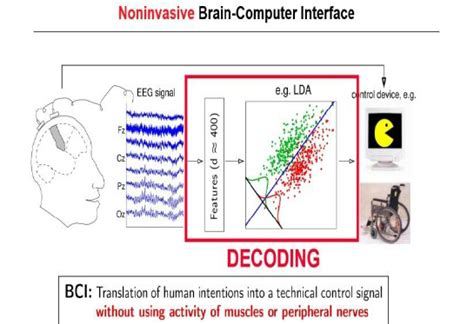 Generic Noninvasive Bci Setup Signals Are Recorded Eg With Eeg