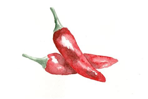 Red Chili Drawing at PaintingValley.com | Explore collection of Red ...