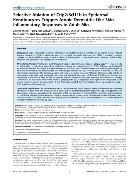 Pdf Selective Ablation Of Ctip Bcl B In Epidermal Keratinocytes