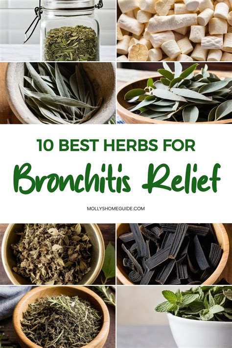 10 Best Herbs For Bronchitis Relief In 2024 Medicinal Herbs Remedies Natural Remedies For