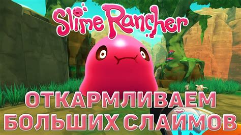 Откармливаем больших слаймов Slime Rancher 4 YouTube