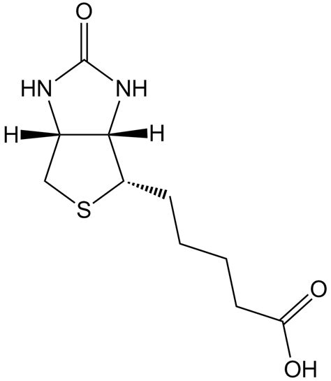 Biotin|Lysine probe coupled to mass spectrometry detection|CAS# 58-85-5