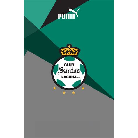 Club Santos Laguna Canvascanvas