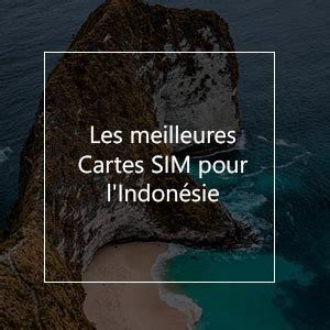 Les Meilleures Cartes Sim Pr Pay Es Pour L Indon Sie En