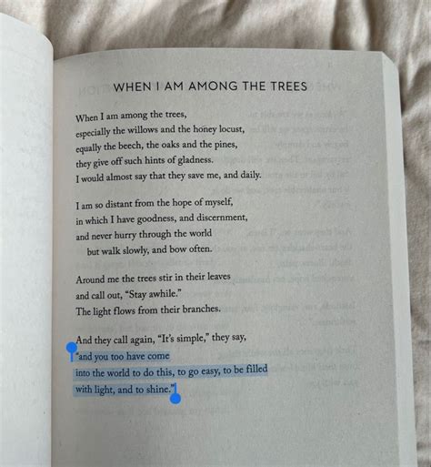 Pin By Emily Schulte On Quotes In 2024 Mary Oliver Poems Mary Oliver