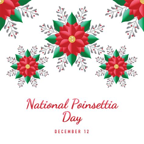 National Poinsettia Day background. 14608752 Vector Art at Vecteezy