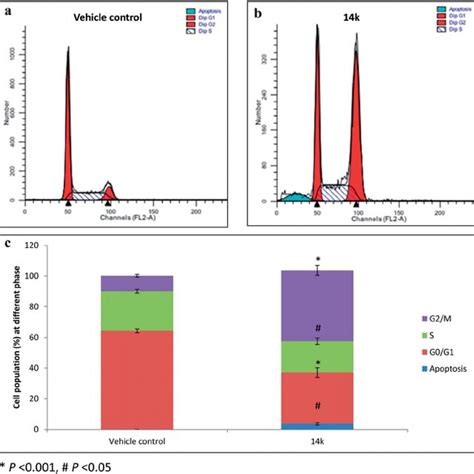 14k Induced Apoptosis In Mcf 7 Cells Mcf 7 Cells Were Treated With The